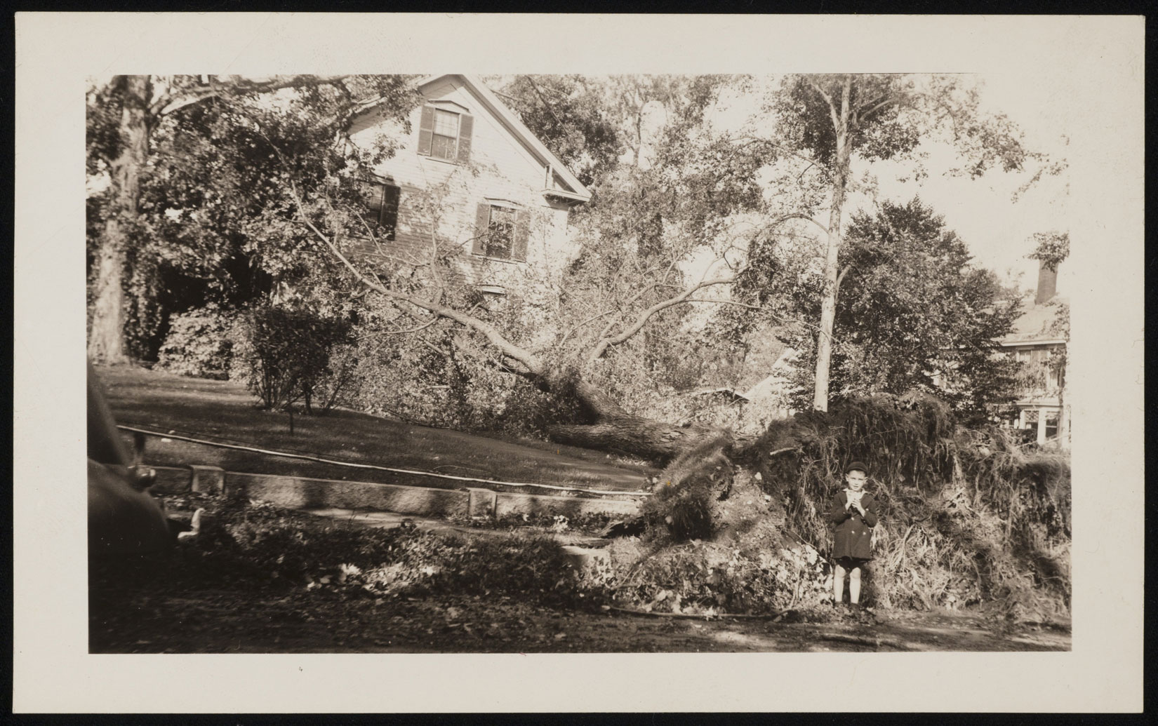 In a black and white photograph, a suburban house with large lawn is seen. In front of the house, a large tree has uprooted and fallen towards the house, hitting it in some places. A small child in shorts and jacket stands next to the roots of the tree, looking at the viewer. 
