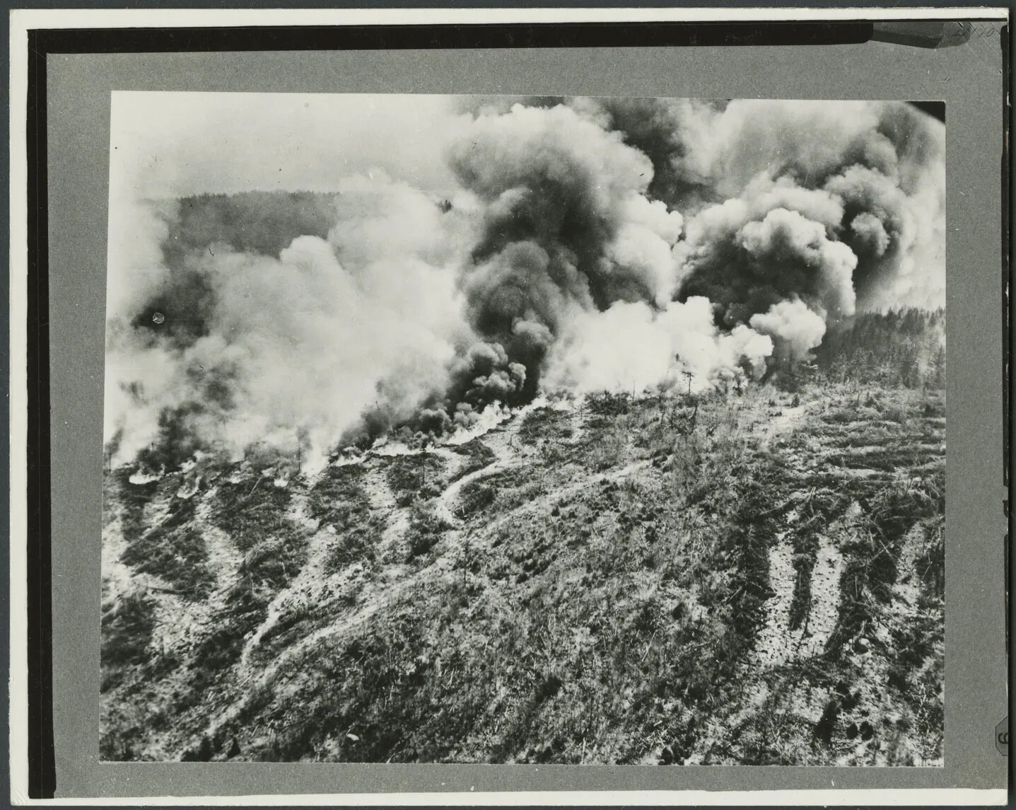 A black and white photograph of a wide landscape is seen. The landscape is hilly but not steep; there are trees and brush throughout. There are also several dirt paths across the hill. In a line across the photograph, a wildfire is raging. The smoke reaches far into the sky and is dark and voluminous. Flames are seen across the hill in a thick line.
