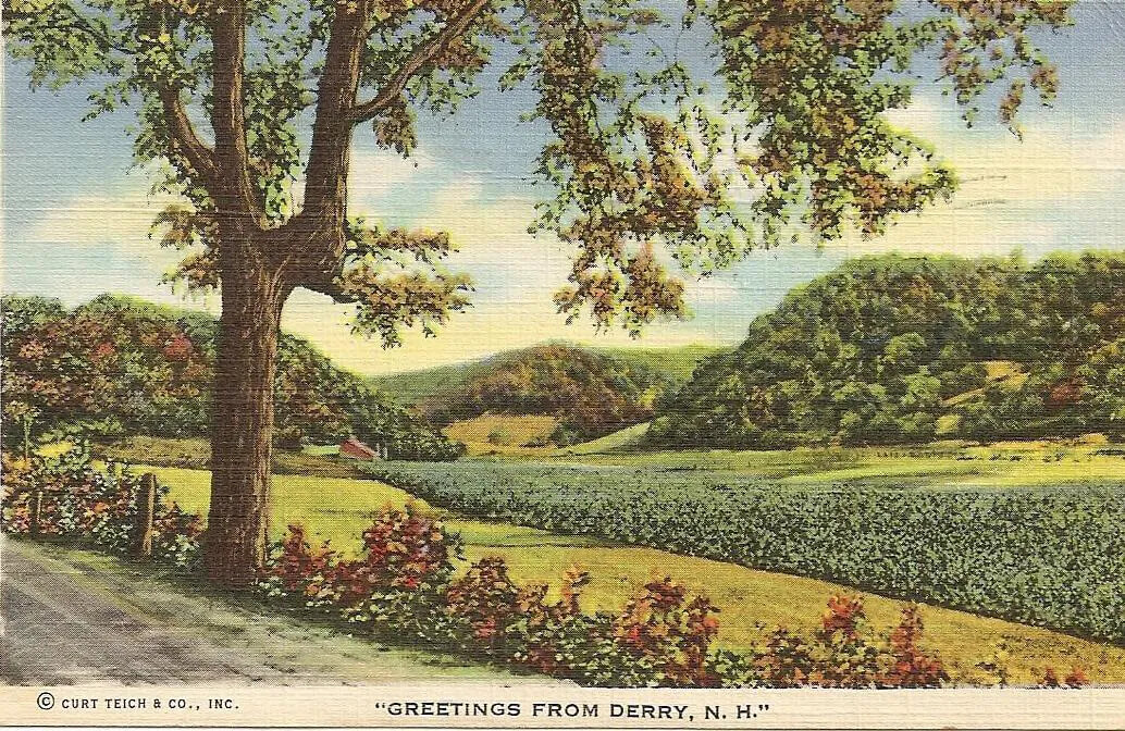 A colored postcard of a green valley set between three tree-covered hills. To the left of the valley is a large tree and a shrub lined road. The title of the postcard, located along the bottom border, reads "GREETINGS FROM DERRY. N.H."