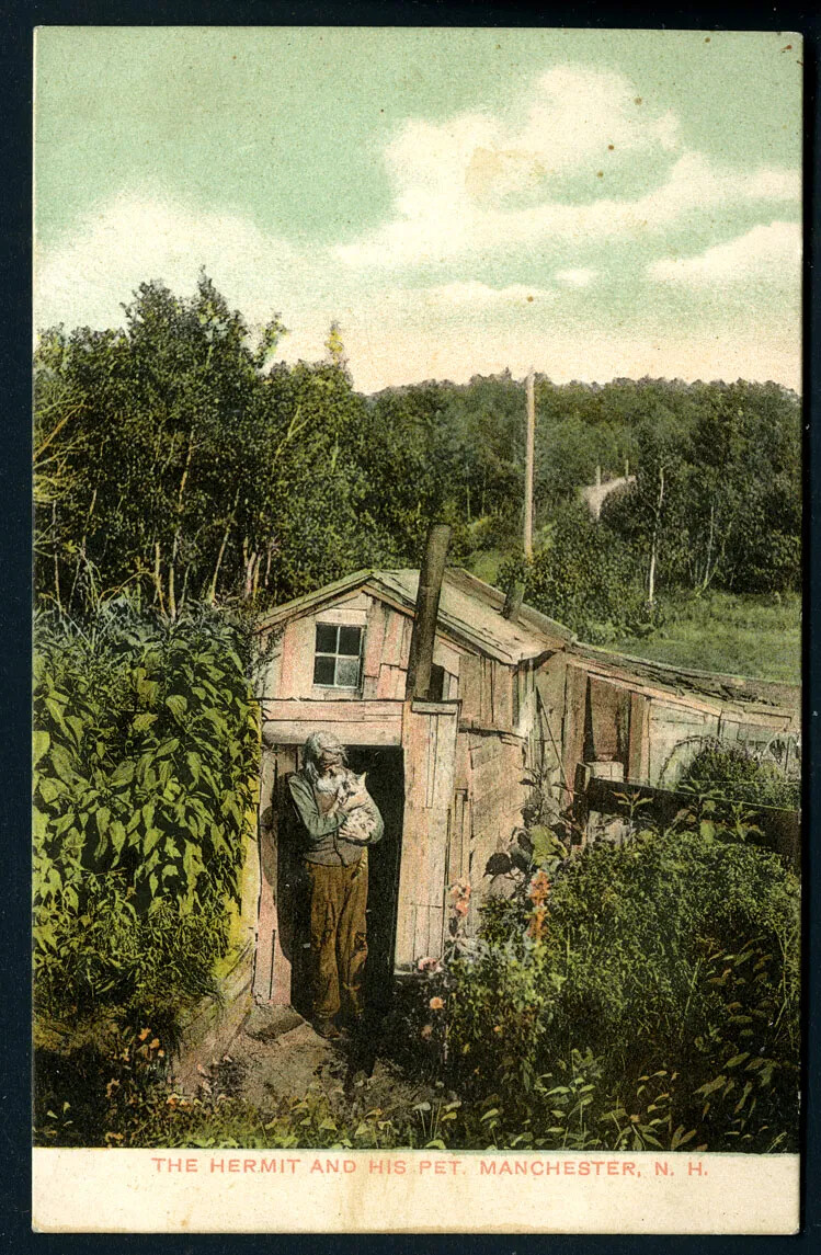 A colored postcard of a man standing in the doorway of a small wooden shack with a cat in his arms. The shack is surrounded by shrubs and trees. The words "THE HERMIT AND HIS PET. MANCHESTER, N. H." are written in red text along the base of the postcard.