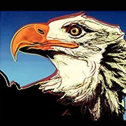Illustrated close-up of an eagle with bold colors and sharp outlines.
