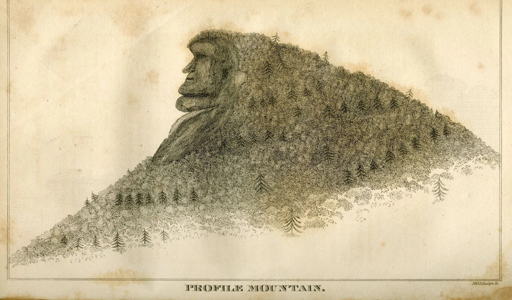 A black and white drawing of a mountain is seen. On the mountain are many trees, notably large pine trees. On the top of the mountain a face in profile, formed from rock, looks to the left. It is about a third the height of the mountain.