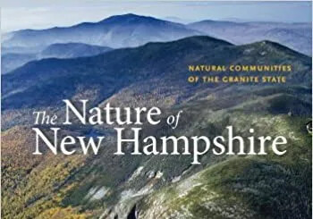 Book cover showing the title of the book.