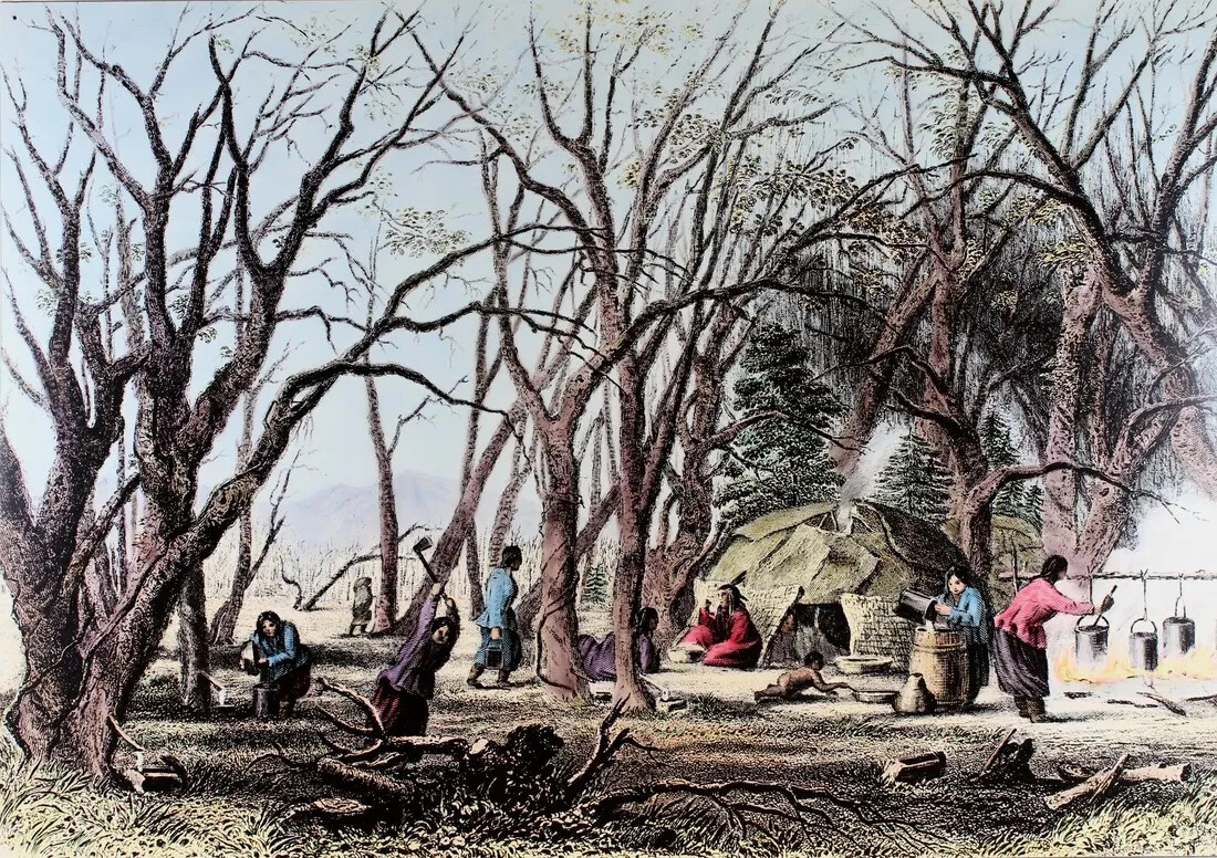 An illustration shows a Native American camp under some trees. On the right, there is a fire with three large pots suspended over the flames. A person is tending it while another person pours something into a large barrel. A few people sit and stand in and outside of a wigwam next to the fire. The left side of the painting shows tress with few leaves and people working with them. The people are chopping, gathering, and kneeling near the trees.