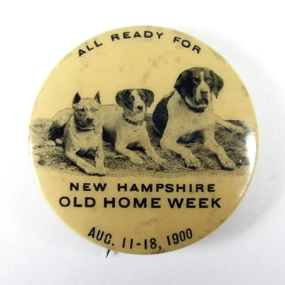 A circular white button. On the button is the photograph of three different types of dogs lying on the ground, looking at the viewer. Text in black lettering surrounds the photograph. The words above the photograph read: "ALL READY FOR" and the words below the photograph read: "NEW HAMPSHIRE/OLD HOME WEEK/AUG. 11-18, 1900."