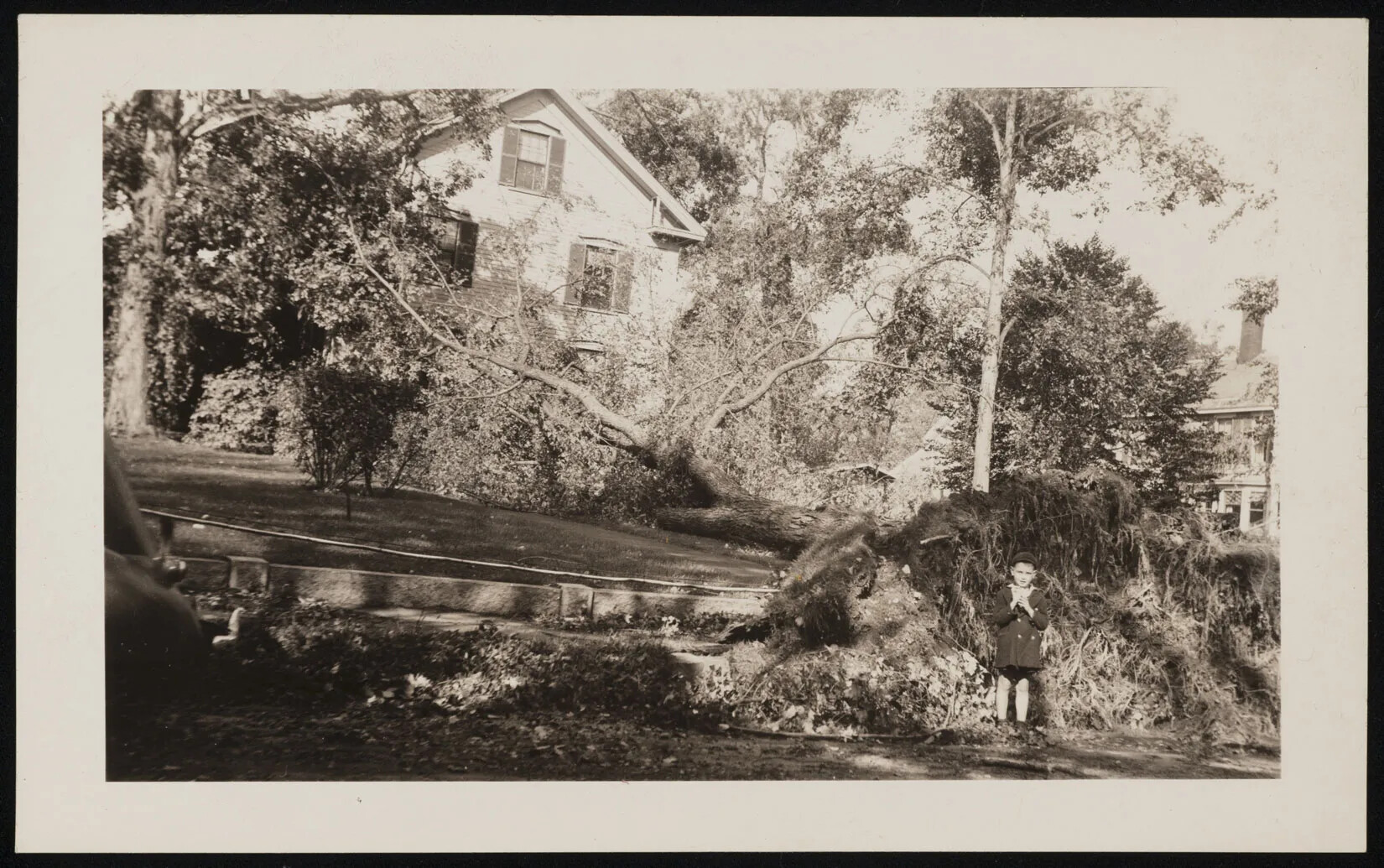 In a black and white photograph, a suburban house with large lawn is seen. In front of the house, a large tree has uprooted and fallen towards the house, hitting it in some places. A small child in shorts and jacket stands next to the roots of the tree, looking at the viewer.